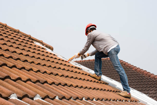 Best Commercial Roofing Services  in Yalaha, FL