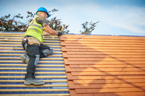 Best Roof Installation  in Yalaha, FL